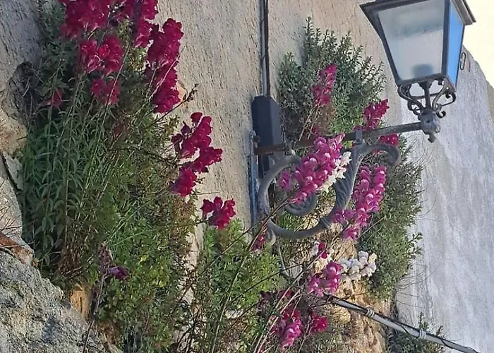 Al Belvedere דירה Acerenza